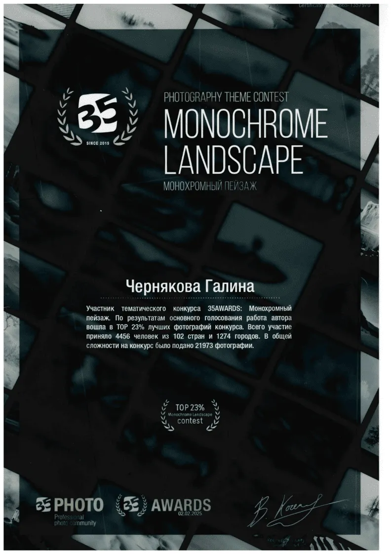 35AWARDS Монохромный пейзаж 2025