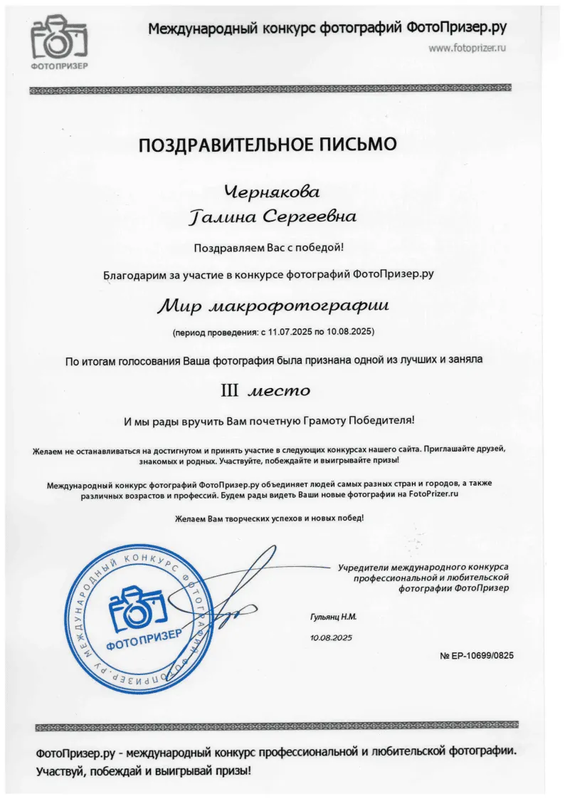 Мир макрофотографии III место 2025