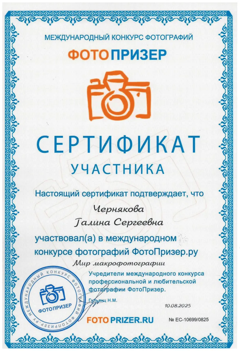 Мир макрофотографии Сертификат 2025