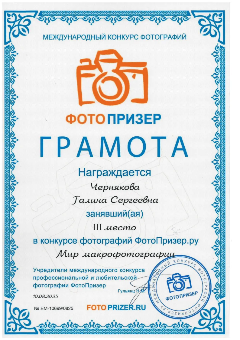 Мир макрофотографии Грамота III место 2025