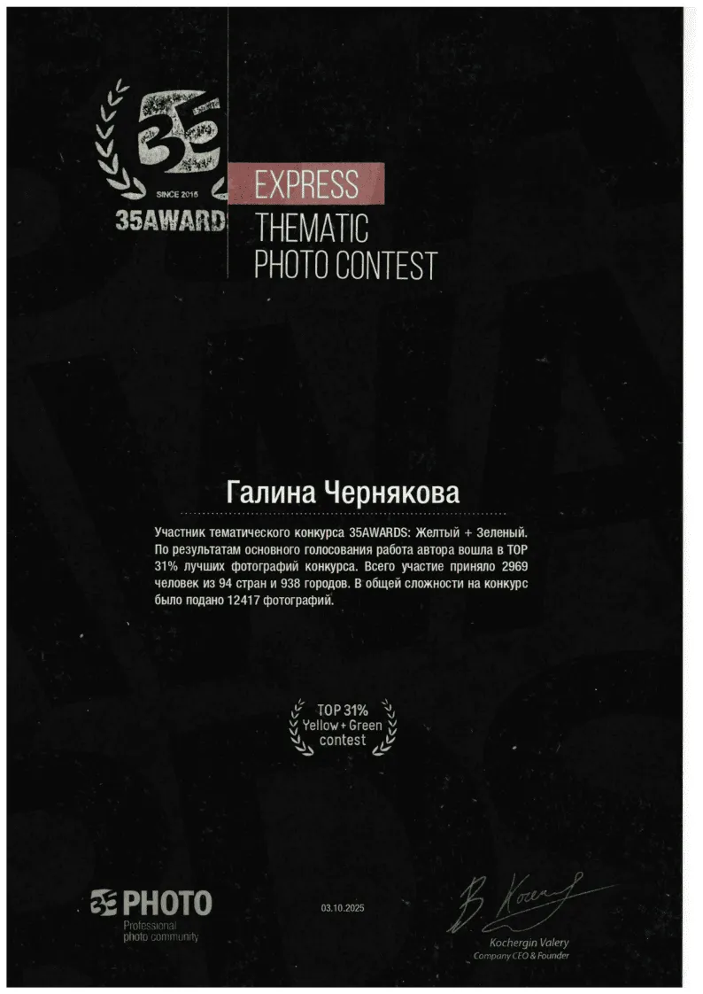 35AWARDS Жёлтый+Зелёный 2025